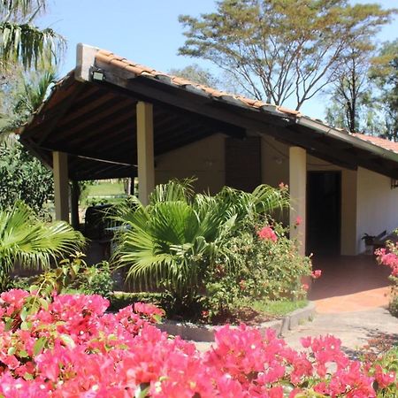 Posada San Miguel Paraguari Exterior foto